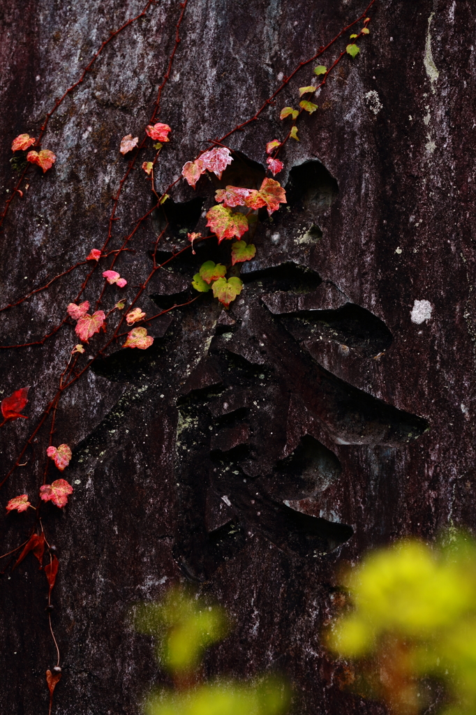 晩秋　三題　　　　　鎮魂