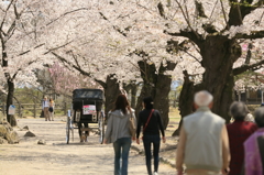 それぞれの道