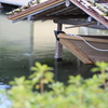 粂八、大川へ出してくれ。へっ長谷川様、彦十のとっつぁんがまだですぜ　　ふっふふ、