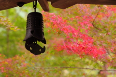 京都　高雄三寺　三題　高山寺