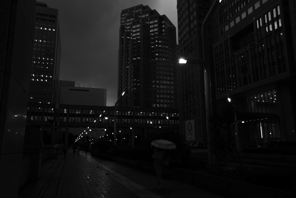 夜の西新宿　三題　　街灯