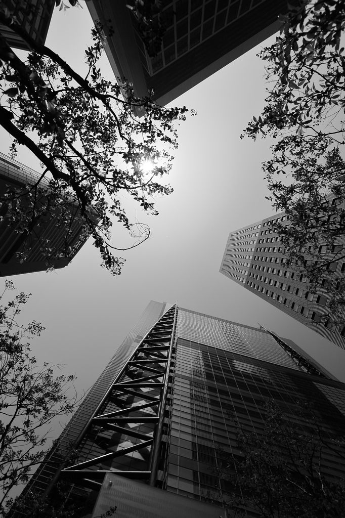 都会の陰影　　三題　　　　汐留