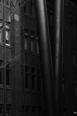 モノクローム　本郷キャンパス　　三題　　フュージョン