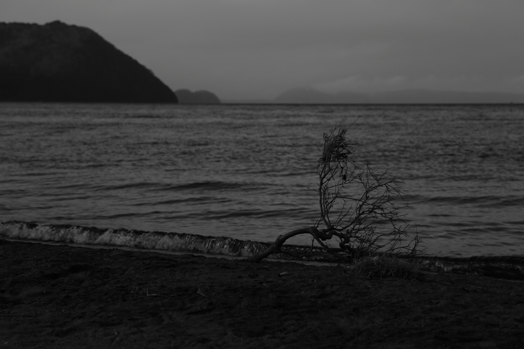 雪を求めて・・　　三題　　　　　猪苗代湖