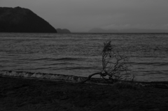 雪を求めて・・　　三題　　　　　猪苗代湖