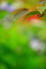 別れの時・・