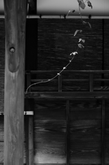 和の趣　　　11