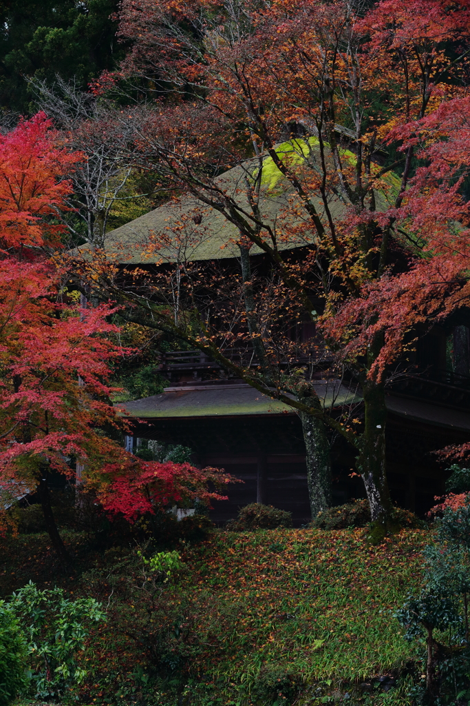 ＴＯＫＹＯローカル紀行