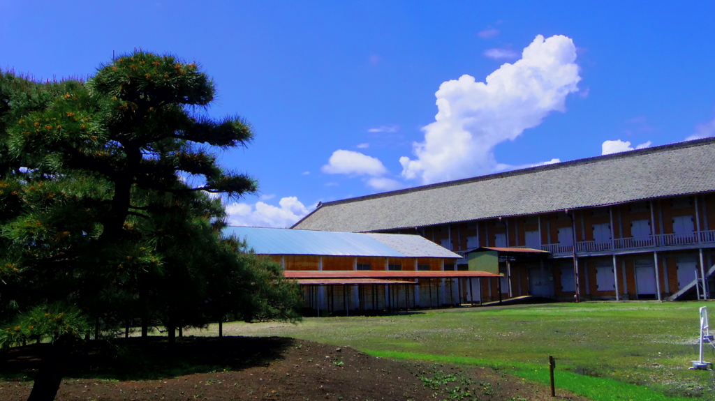 夏雲三題　　　　　　　希望