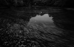 ひと吹きの風・・・