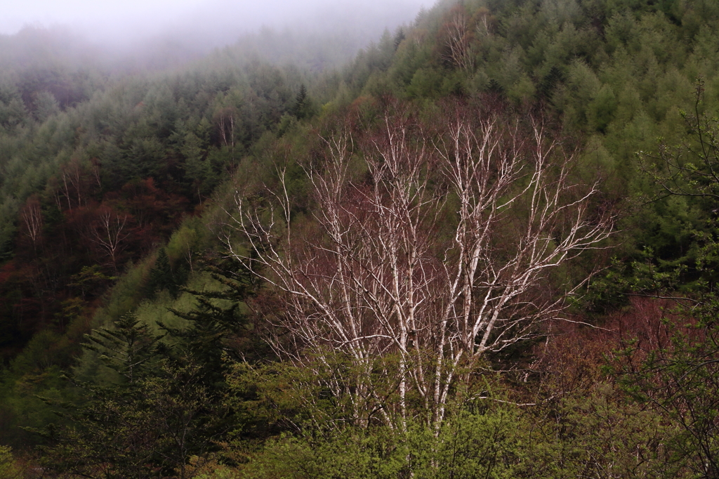 三題シリーズへの・・　　　序章