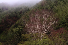 三題シリーズへの・・　　　序章