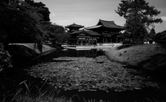 旅の余韻何題？