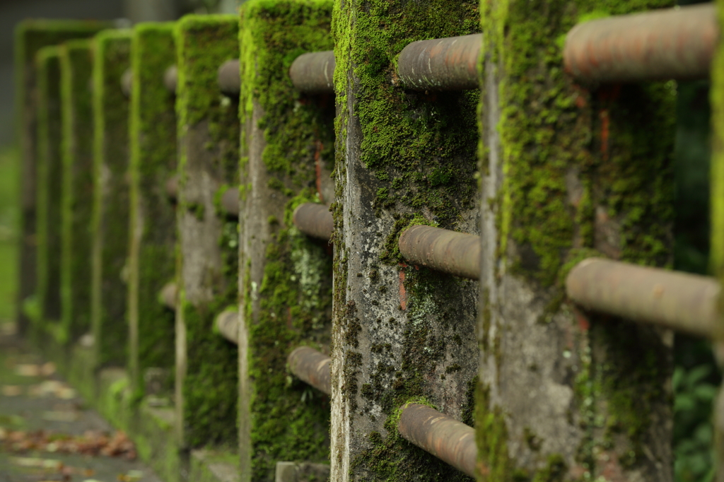 永い付き合いになっちまったな～、　　　