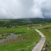 IMGP0136