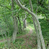 IMGP0054