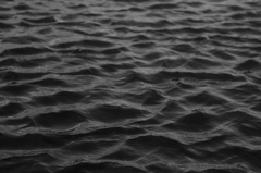 海