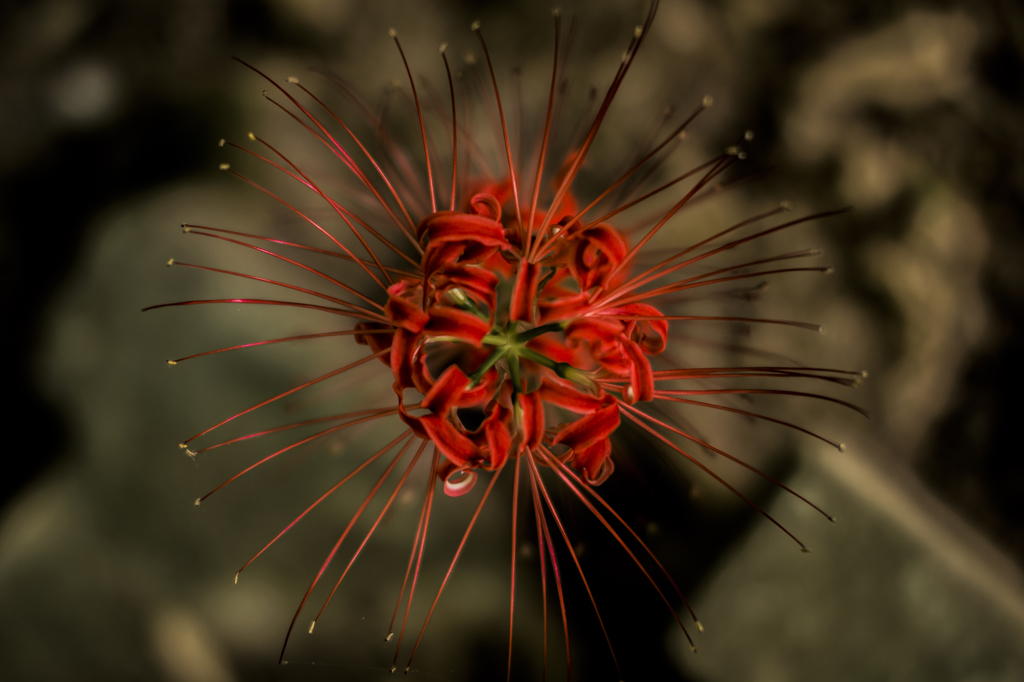 explosion