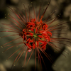 explosion