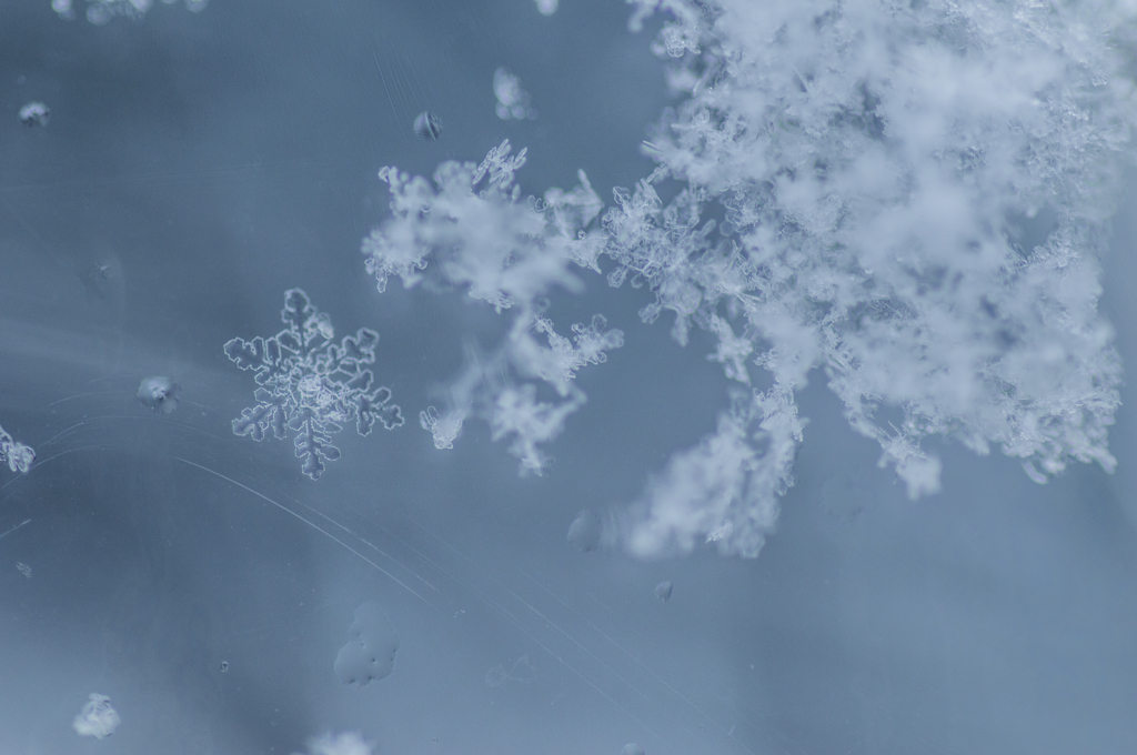 雪の結晶