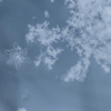 雪の結晶