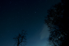 星
