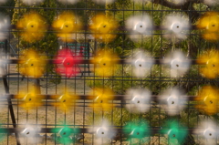 いい風来てます。