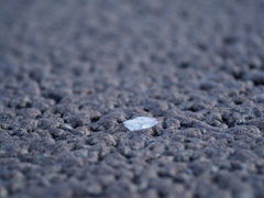 Fragmented