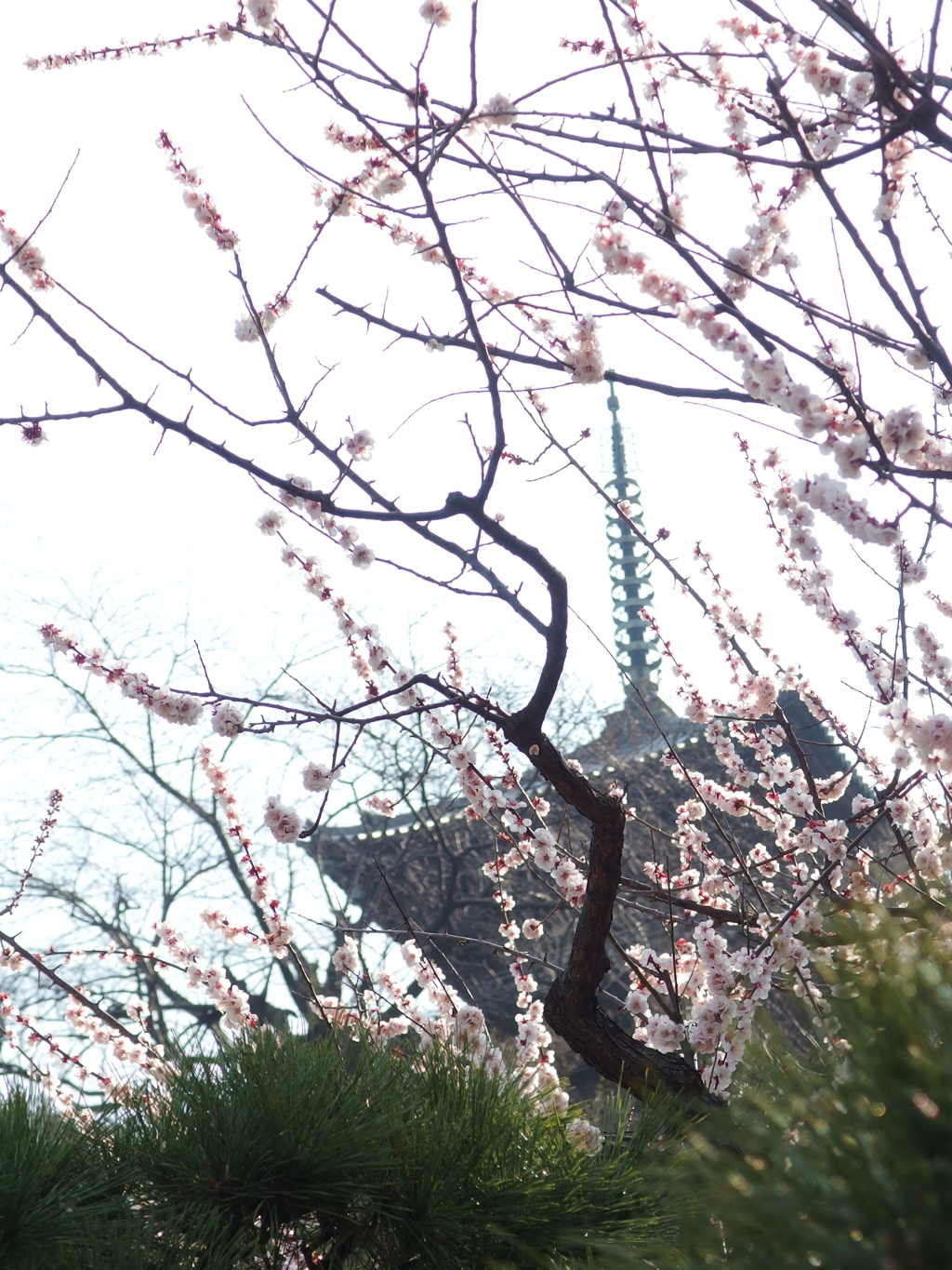 ２０１５．３．１５