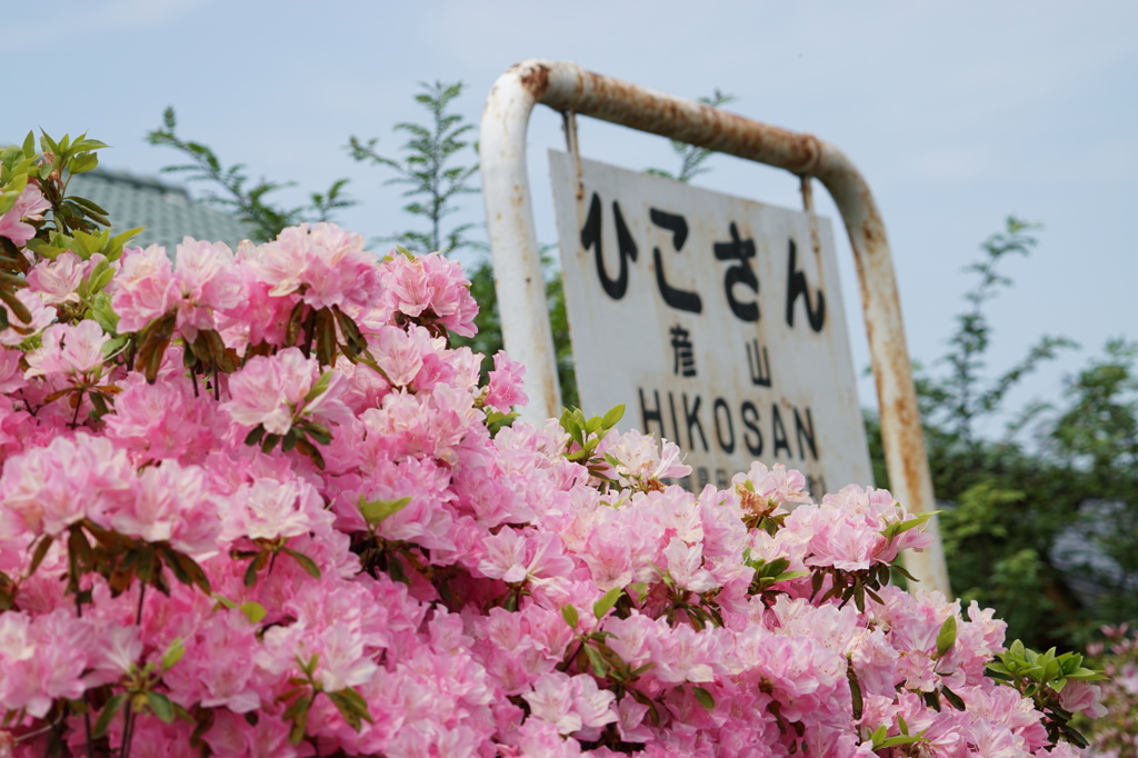 日田彦山線１５