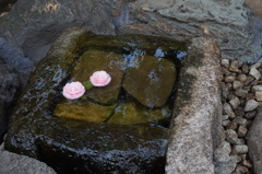 湧き水