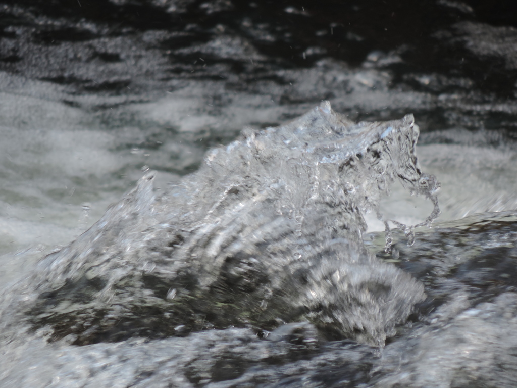 水飛沫