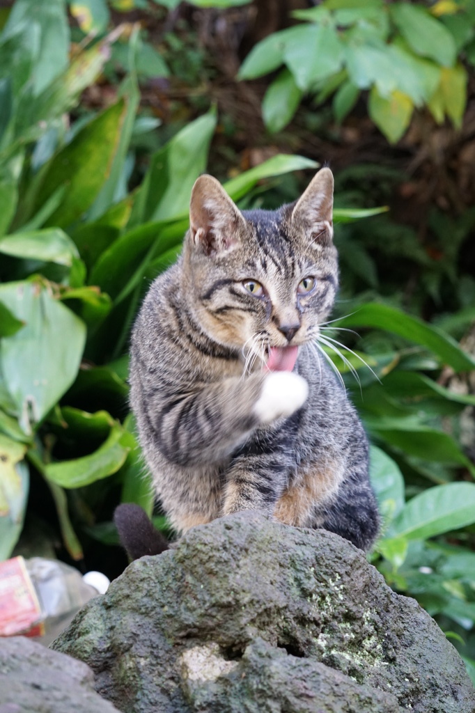 へっ？