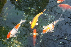 優雅に