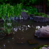 清