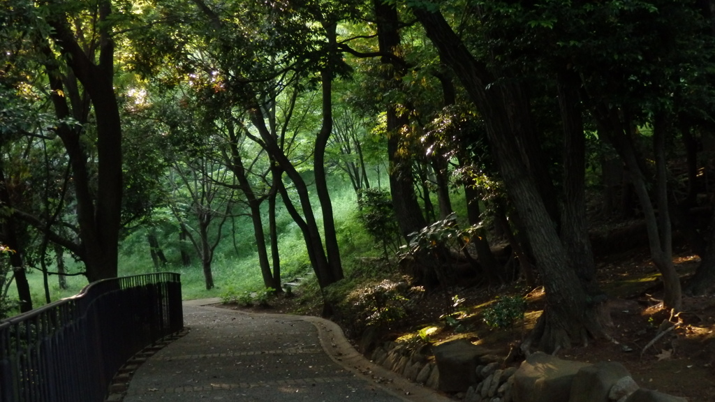 すれ違う風景