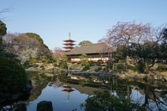 伝法院庭園