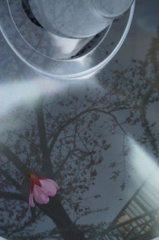 雅