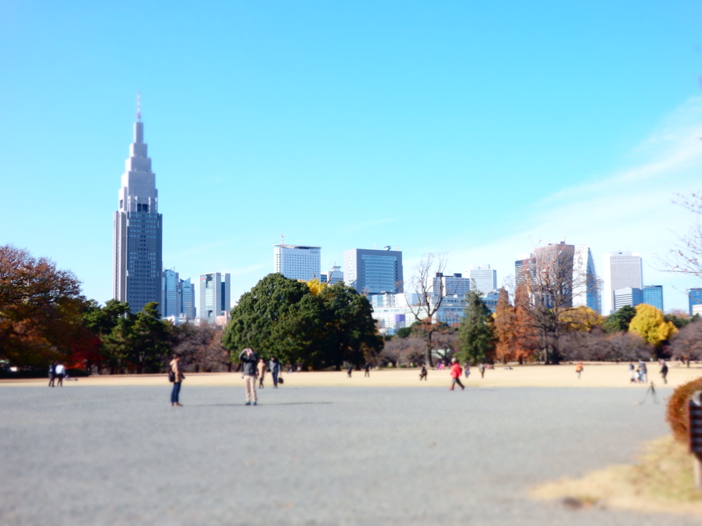 晴天の休日