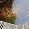 リサイクル