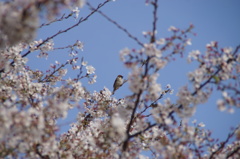 一休み