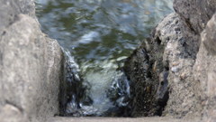水の惑星Ⅱ