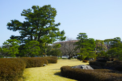 大濠公園そば日本庭園にて　7