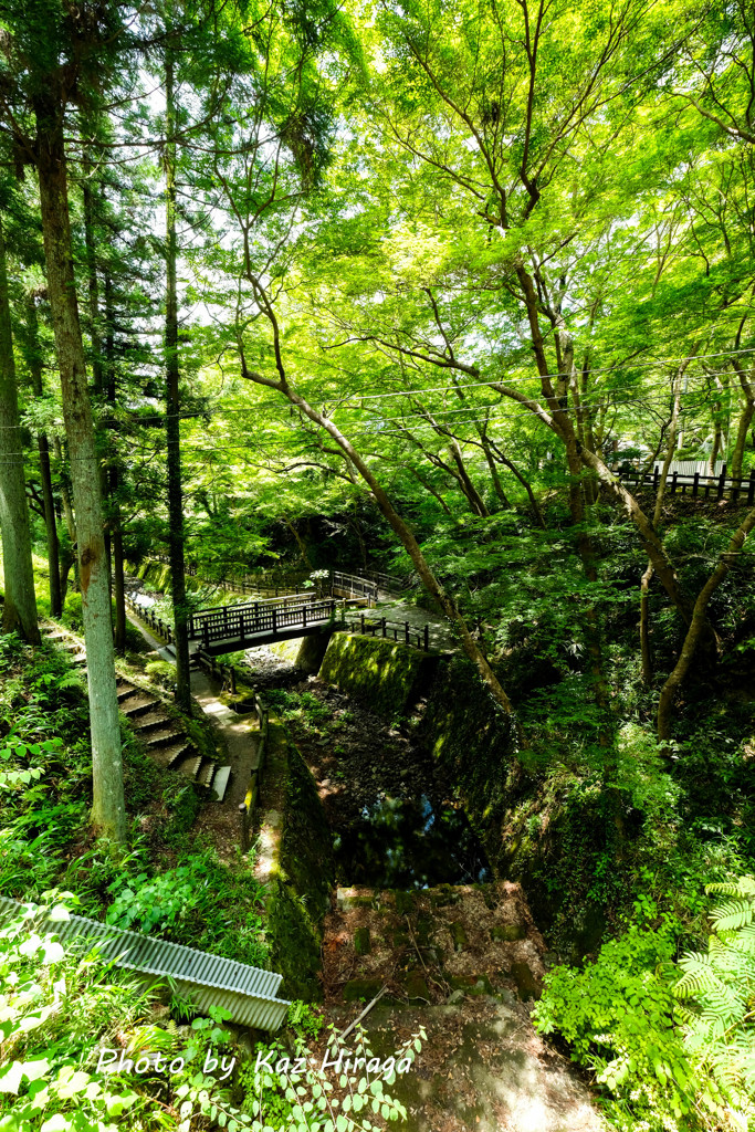 根来寺参道
