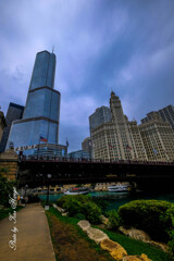 Concrete and Glass City
