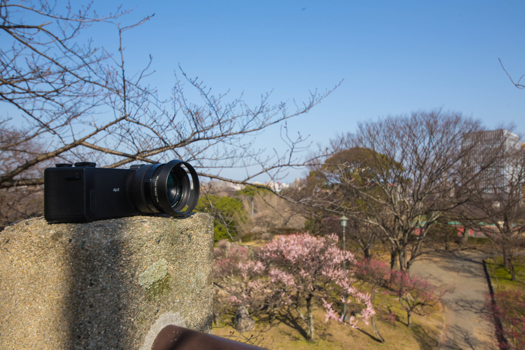福岡、鶴賀城址公園　3