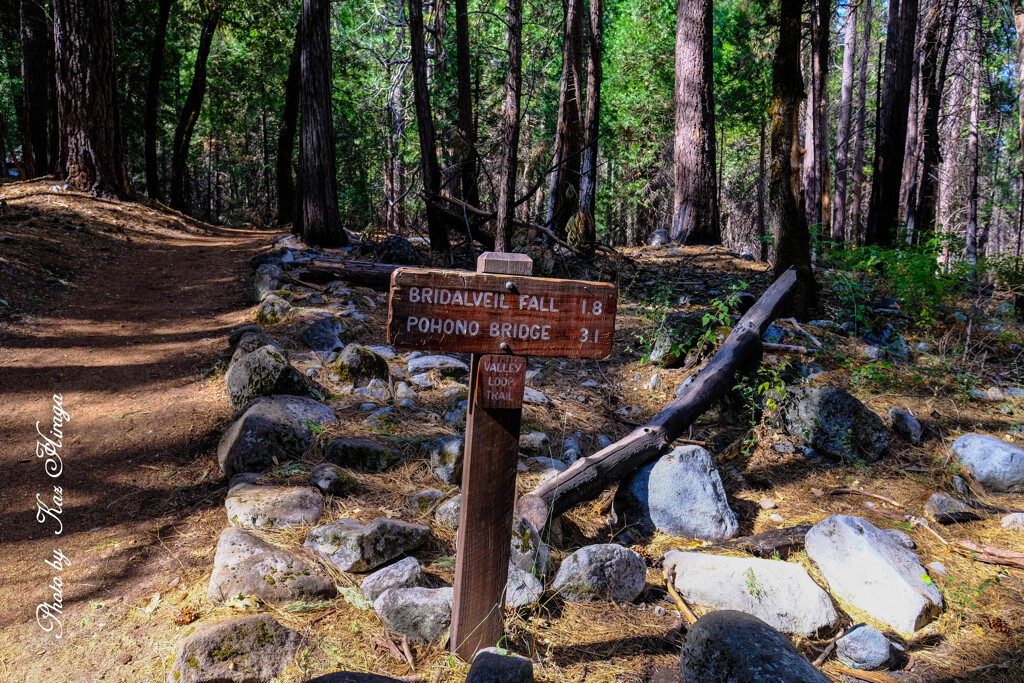 Trail signboard