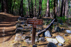 Trail signboard