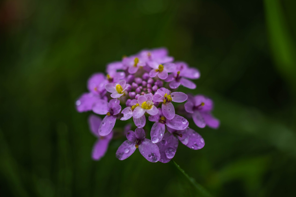 雨滴-2