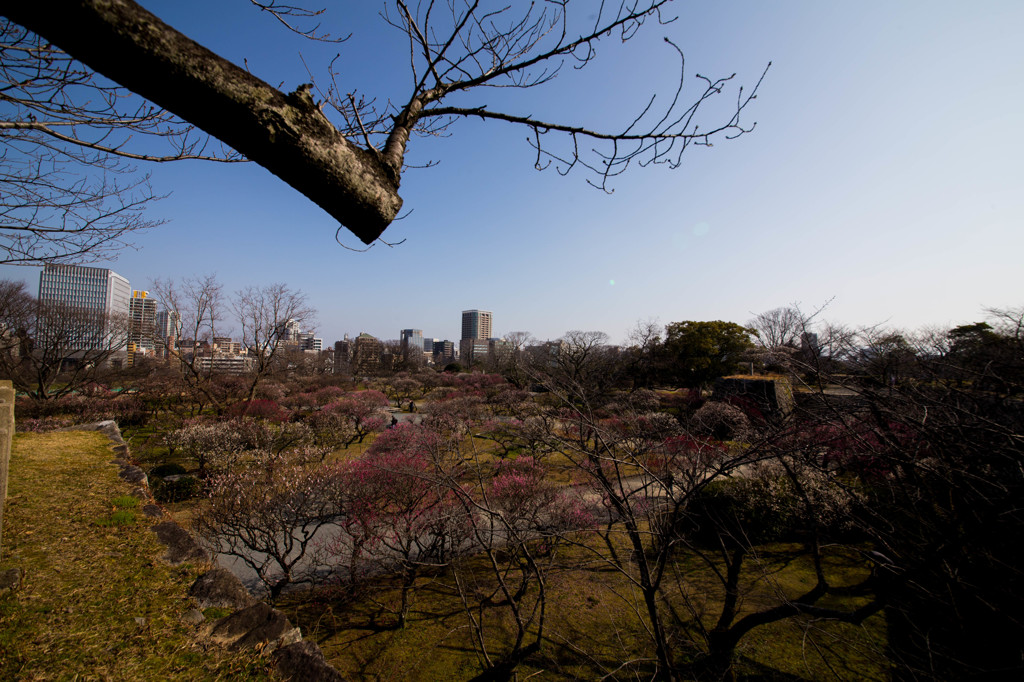 福岡、鶴賀城址公園　2